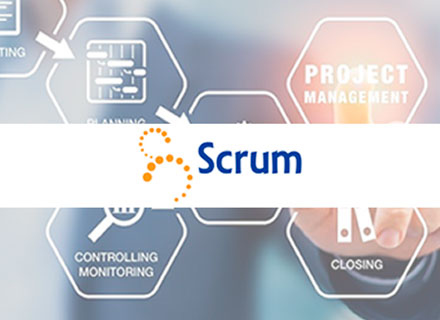 Agile Scrum Foundation (Gerenciamento gil de Projetos de Software) Preparatrio para Certificao  ASF