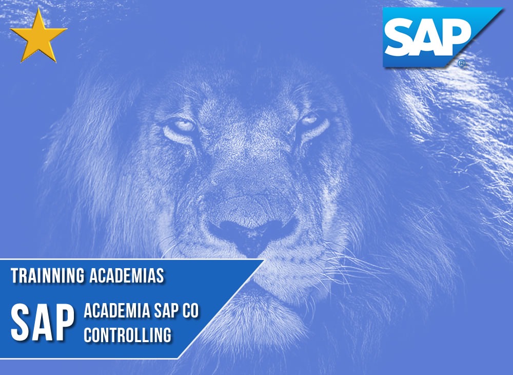 Academia SAP CO - M�dulo Controladoria